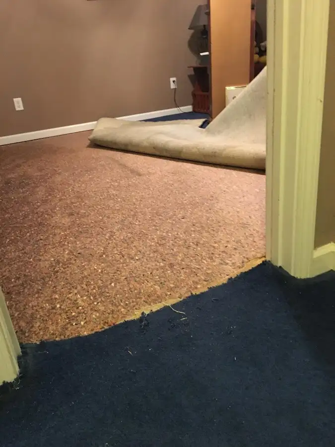 Carpet pad removal revealing water damage during Water Mitigation Services in Lake City